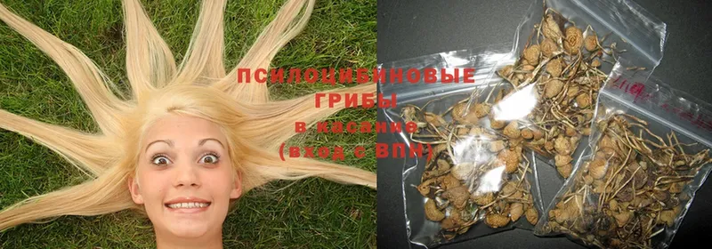 купить закладку  blacksprut ссылка  Галлюциногенные грибы MAGIC MUSHROOMS  Далматово 